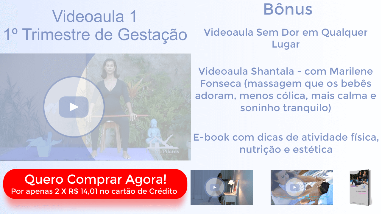 Videoaula 1
