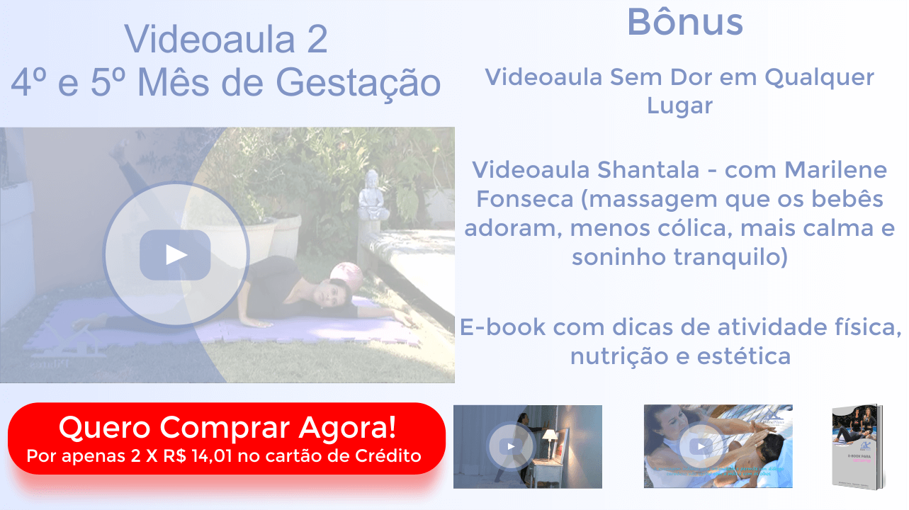 Videoaula 2
